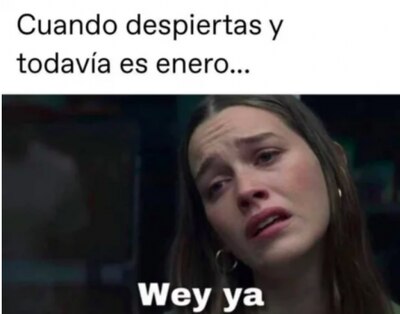 Es triste wey #memesespañol #memes #memes😂