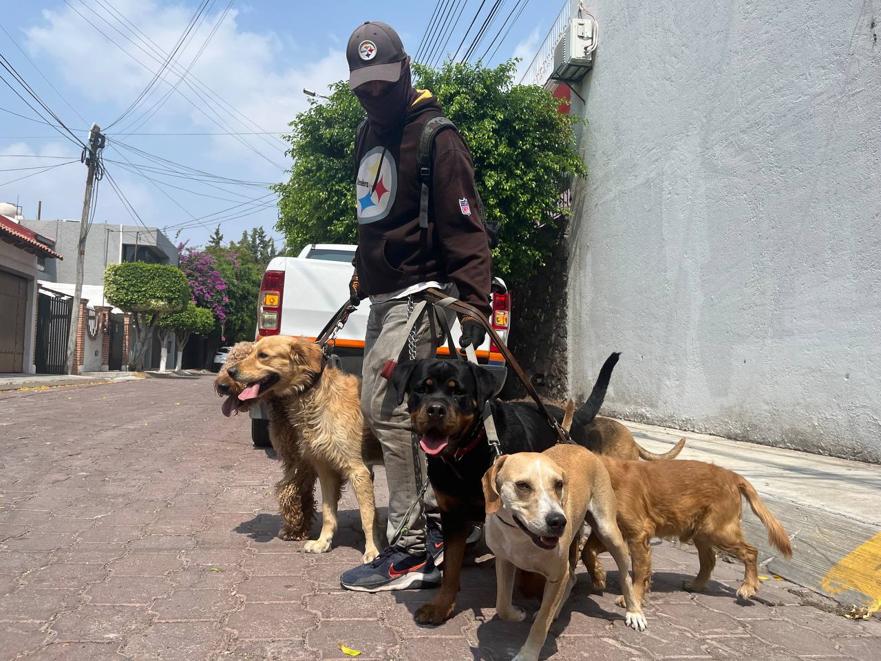 cuánto tiempo pasean los paseadores de perros